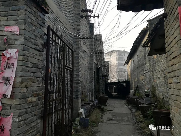 樟树市王子酒业有限公司历史沿革